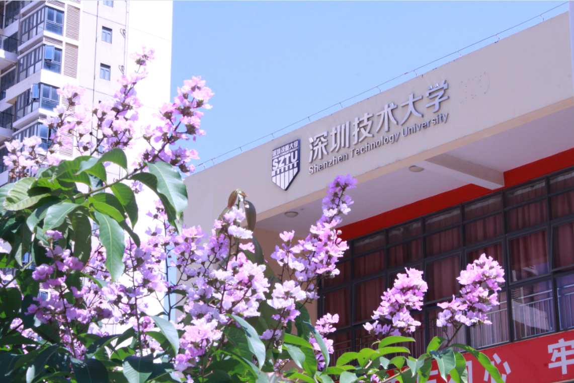 201991看片APP下载團體標準啟動儀式